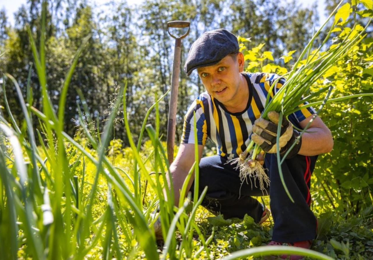 Heinäsaaren tila oy ja D.O. Saimaa