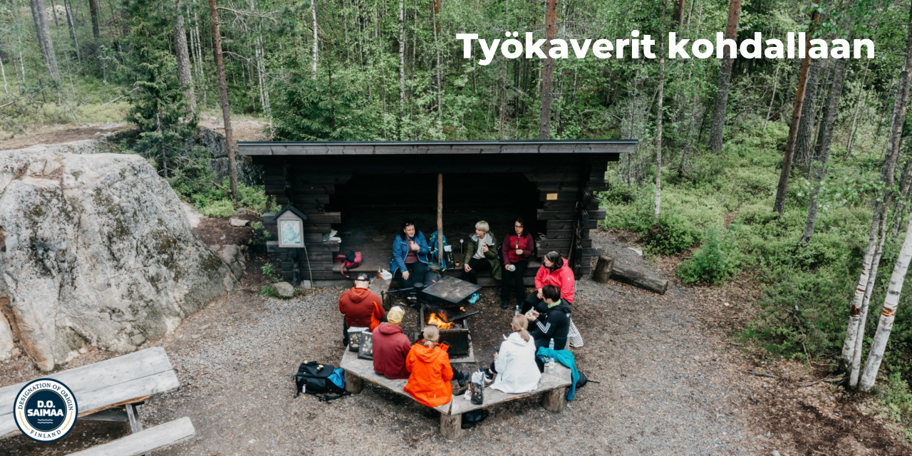 D.O. Saimaa ja Saimaan vahvuudet työntekopaikkana